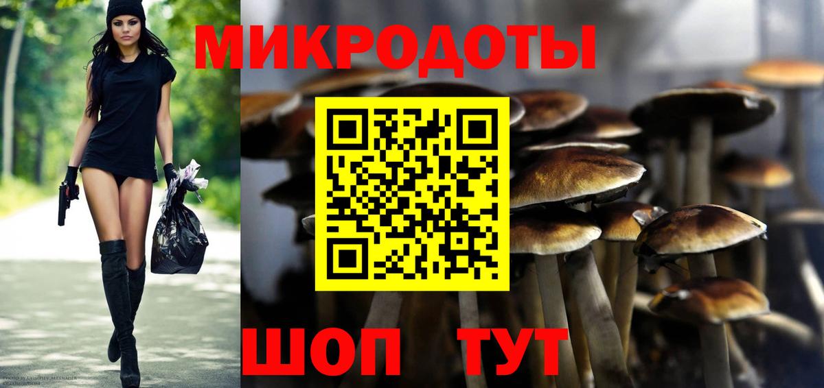 Псилоцибиновые грибы GOLDEN TEACHER Алатырь