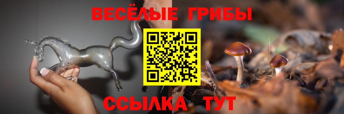 Псилоцибиновые грибы MAGIC MUSHROOMS  Вход с VPN  Алатырь 